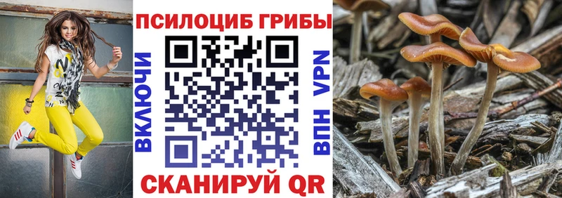 Псилоцибиновые грибы Magic Shrooms  мега tor  Зарайск  где купить  